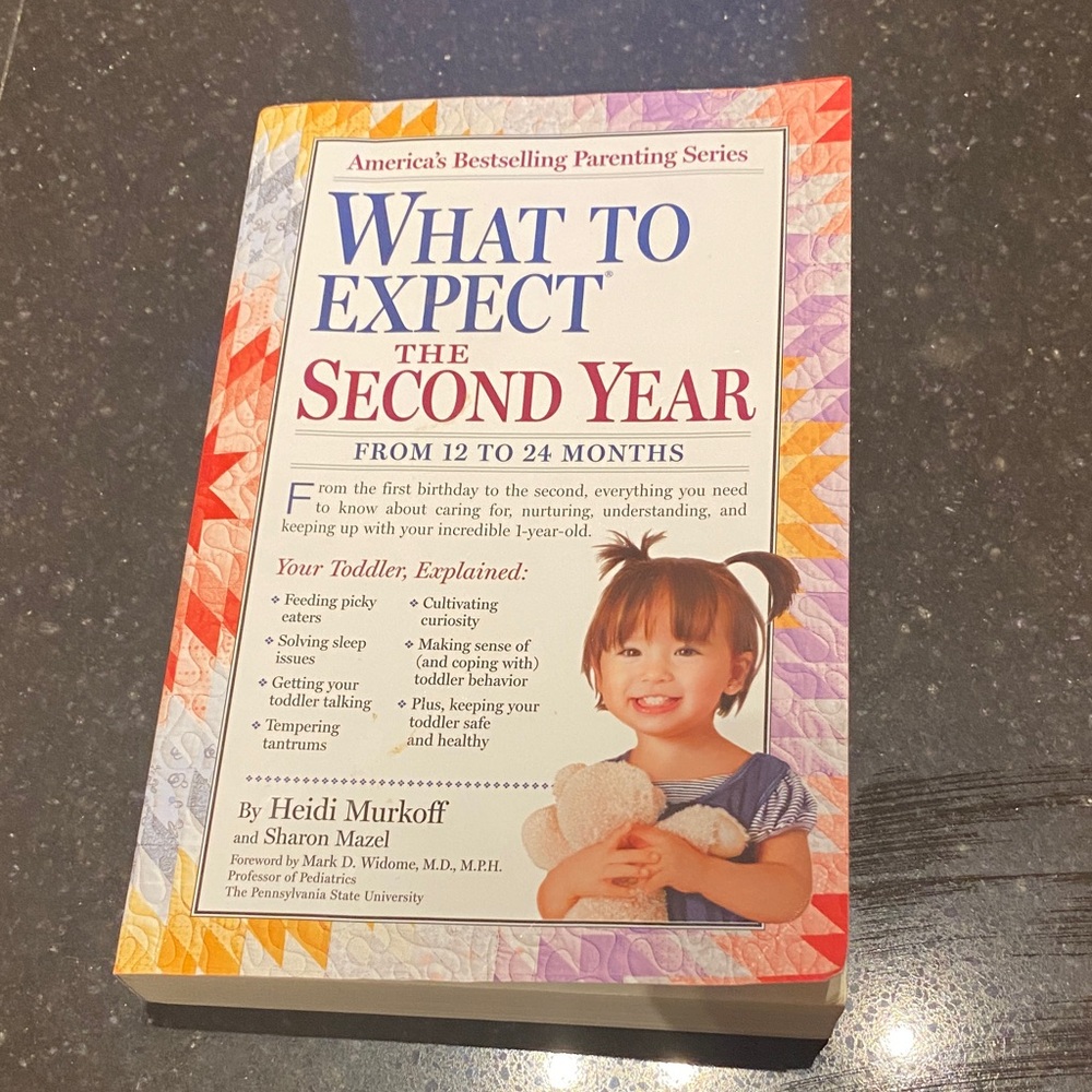 Parenting Guide: What to Expect the Second Year